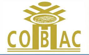 téléchargement (1)